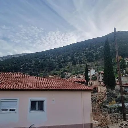 ελιά παραδοσιάκο σπίτι στην 빌라