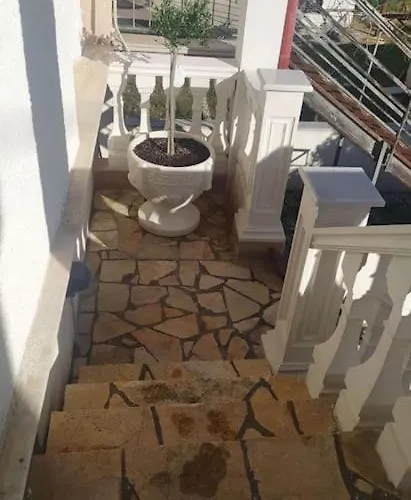 Βίλα ελιά παραδοσιάκο σπίτι στην Αμφίκλεια