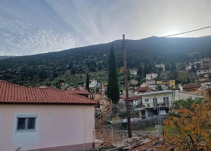 ελιά παραδοσιάκο σπίτι στην Βίλα *